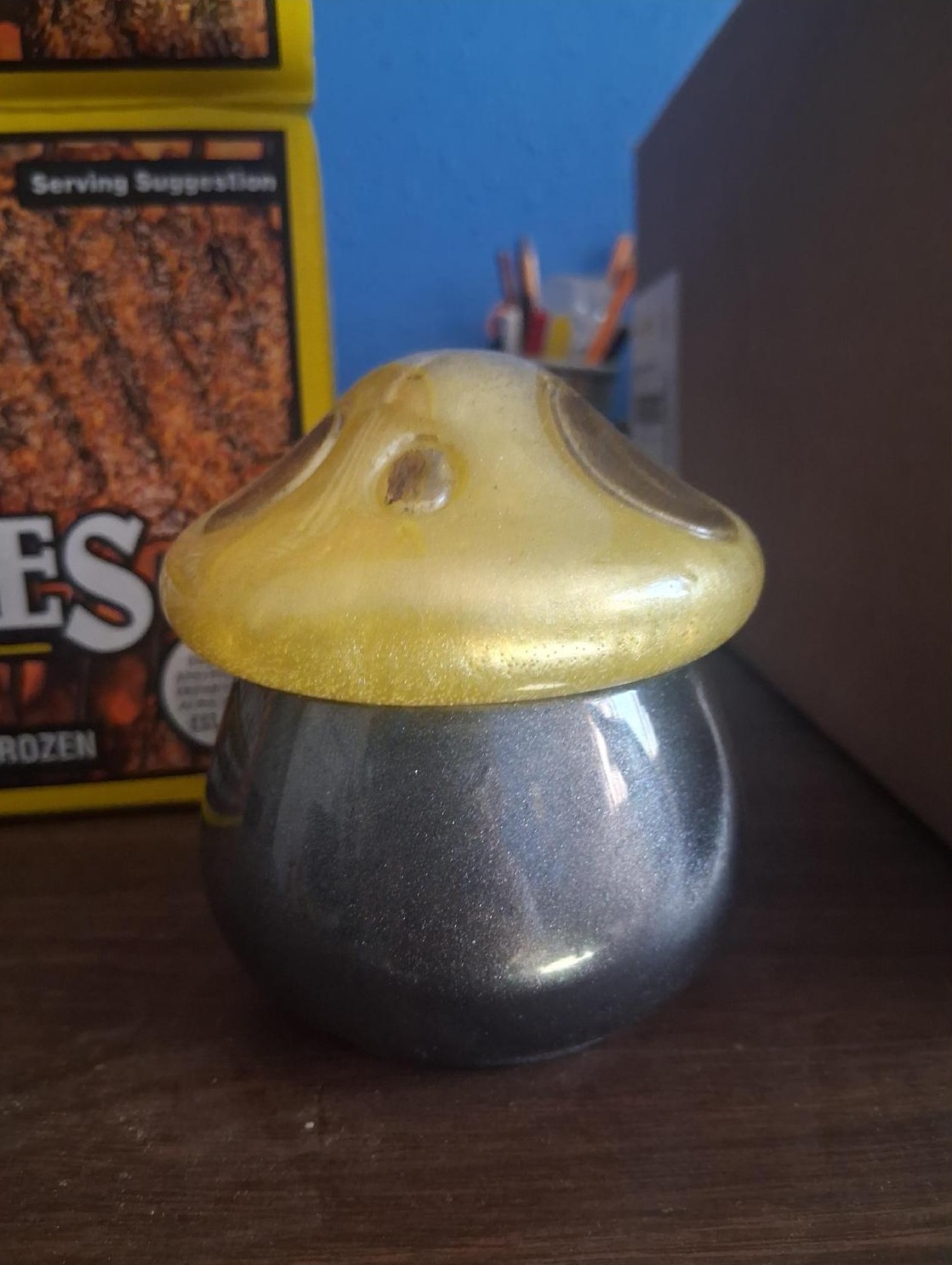 Mushroom Resin Jar